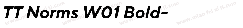 TT Norms W01 Bold字体转换